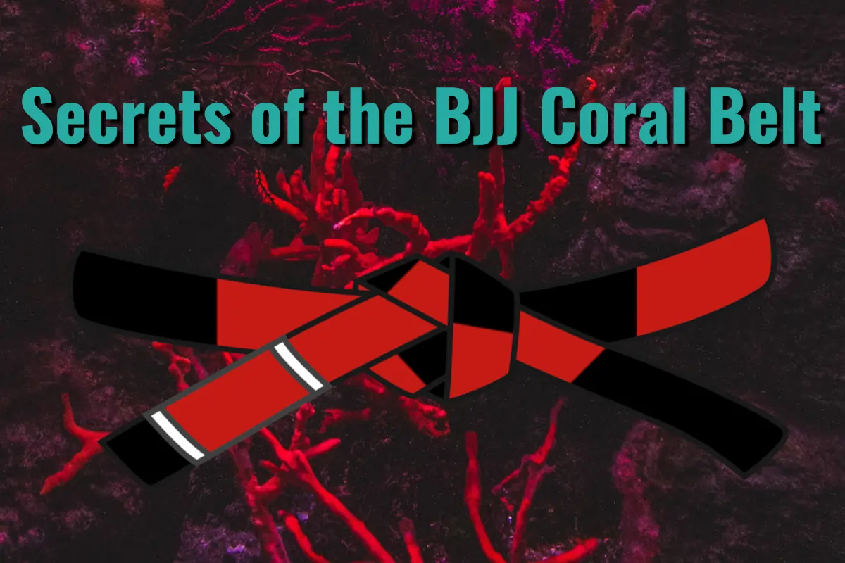BJJ Coral Belt