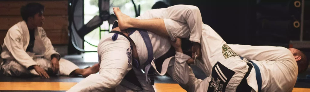 bjj and judo differences
